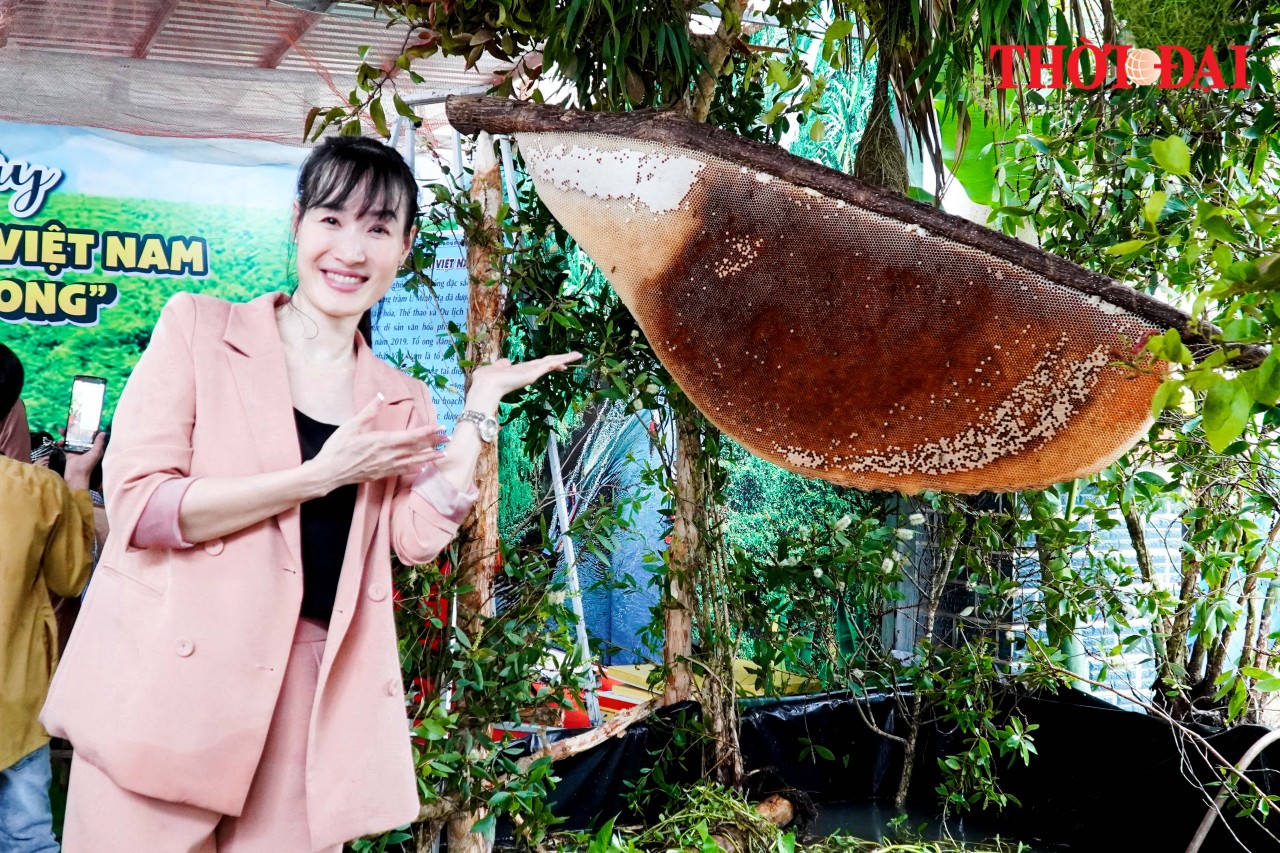 Cà Mau xác lập kỷ lục lẩu mắm và tổ ong lớn nhất Việt Nam Cà Mau xác lập kỷ lục lẩu mắm và tổ ong lớn nhất Việt Nam
