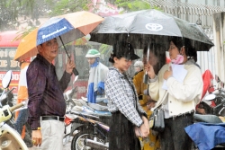 phot lo lenh cam luu thong qua cau ca mau nhieu truong hop bi tuoc bang lai xe oto