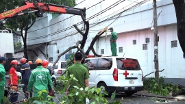 tin phap luat 24h nong nhat hom nay 116 loc xoay o vinh phuc 21 nguoi thuong vong