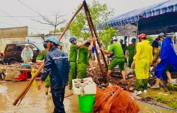 mua giong lam nhieu cay xanh o tp can tho nga do khien nhieu o to hu hong