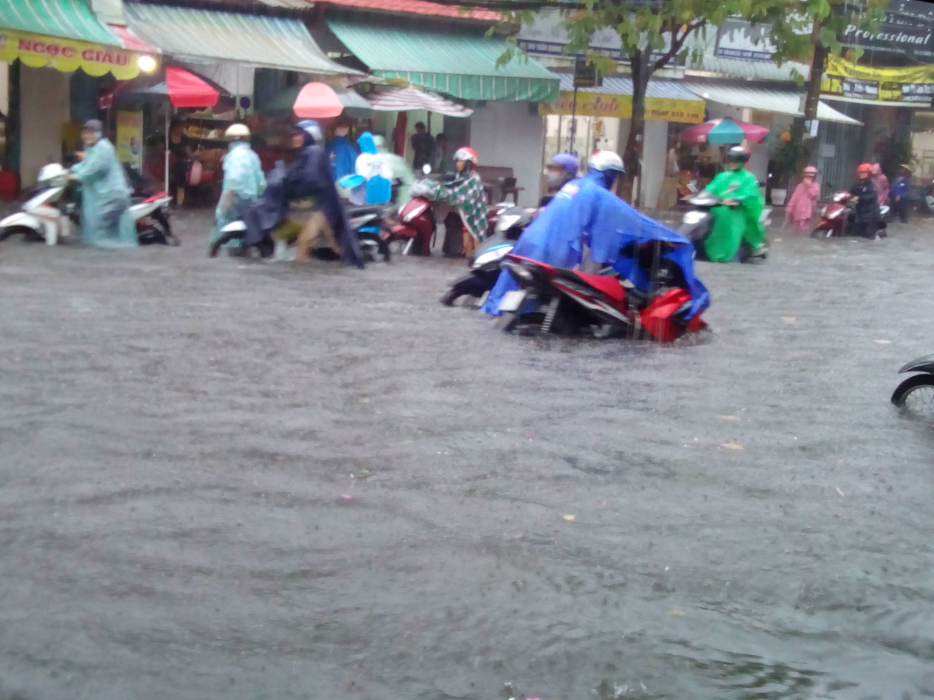 Ngập sau mưa, người dân bì bõm di chuyển ở Cần Thơ nguoi dan bi bom di chuyen trong noi o tpcan tho do ngap sau mua