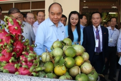Thủ tướng kêu gọi nông dân đổi mới để tự cứu mình