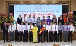 lien hiep cac to chuc huu nghi da nang tong ket hoat dong mot nam voi nhieu thanh tuu