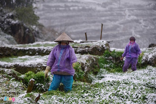 tet nam nay lai doi roi chu a