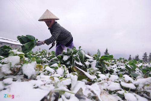 tet nam nay lai doi roi chu a