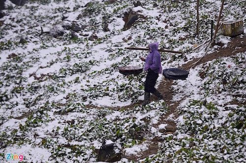 tet nam nay lai doi roi chu a