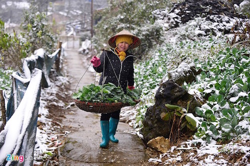 tet nam nay lai doi roi chu a