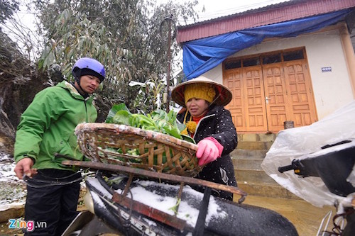 tet nam nay lai doi roi chu a