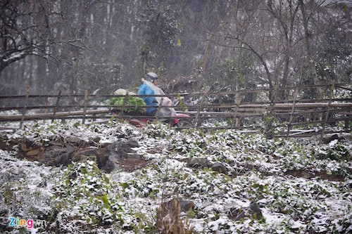 tet nam nay lai doi roi chu a