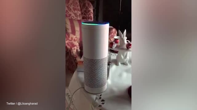 xem tro ly ao alexa phat am ten thi tran dai nhat chau au llanfairpwllgwyngyllgogerychwyrndrobwllllantysiliogogogoch ra sao