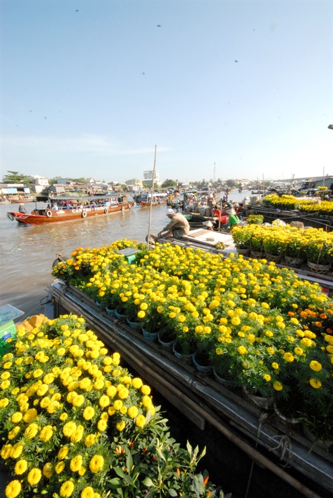 ngam cho noi ngay tet o mien tay