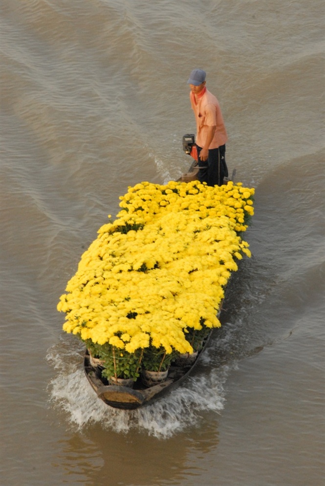 ngam cho noi ngay tet o mien tay