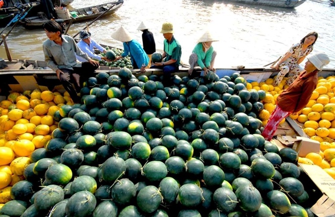 ngam cho noi ngay tet o mien tay