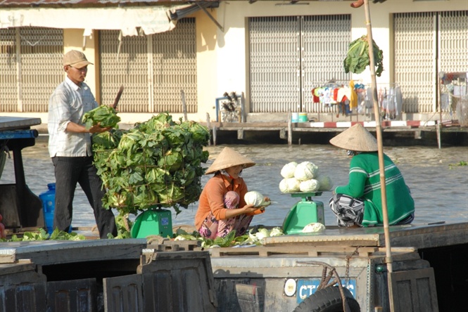 ngam cho noi ngay tet o mien tay