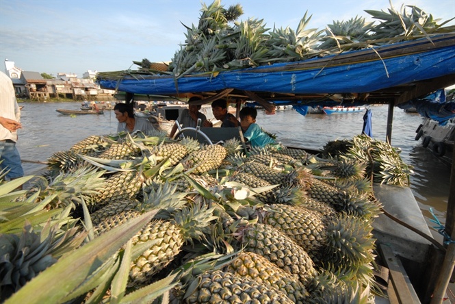 ngam cho noi ngay tet o mien tay