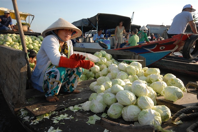ngam cho noi ngay tet o mien tay