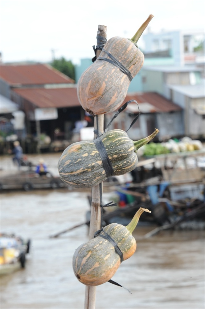 ngam cho noi ngay tet o mien tay
