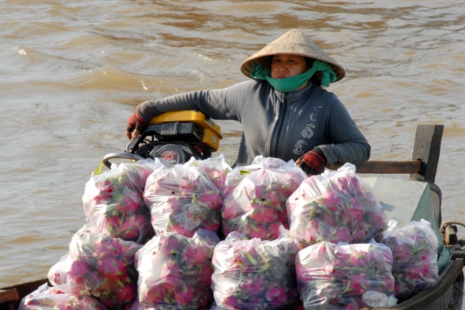 ngam cho noi ngay tet o mien tay