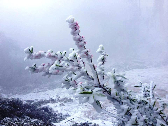thuc hu thong tin vung nui cao nghe an co tuyet roi day nhiet do xuong duoi 0 do c