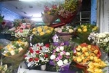 chang can di xa cung co mot thanh pho hoa phuong do giua long ha noi