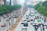 cay delonix hoang gia duoc chon trong nhan le trong cay tai khu vuon huu nghi cong vien hoa binh ha noi