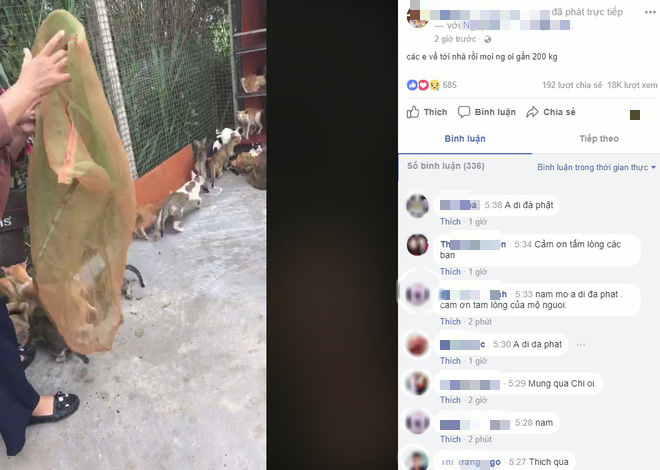 nguoi phu nu chi gan 20 trieu dong cuu 130 chu meo ra khoi lo mo o sai gon