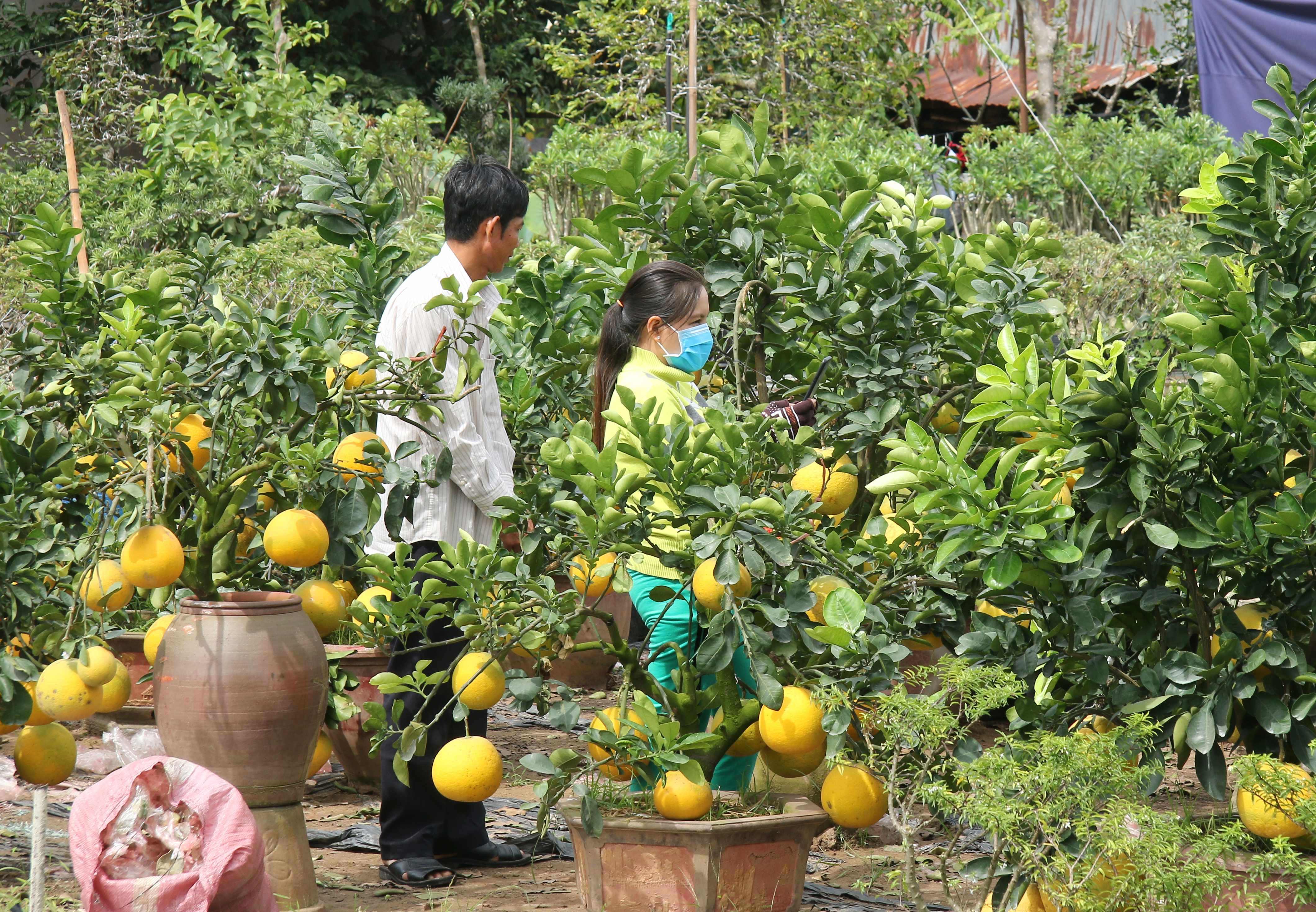 buoi dien xuat hien tai mien tay voi hinh dang doc la