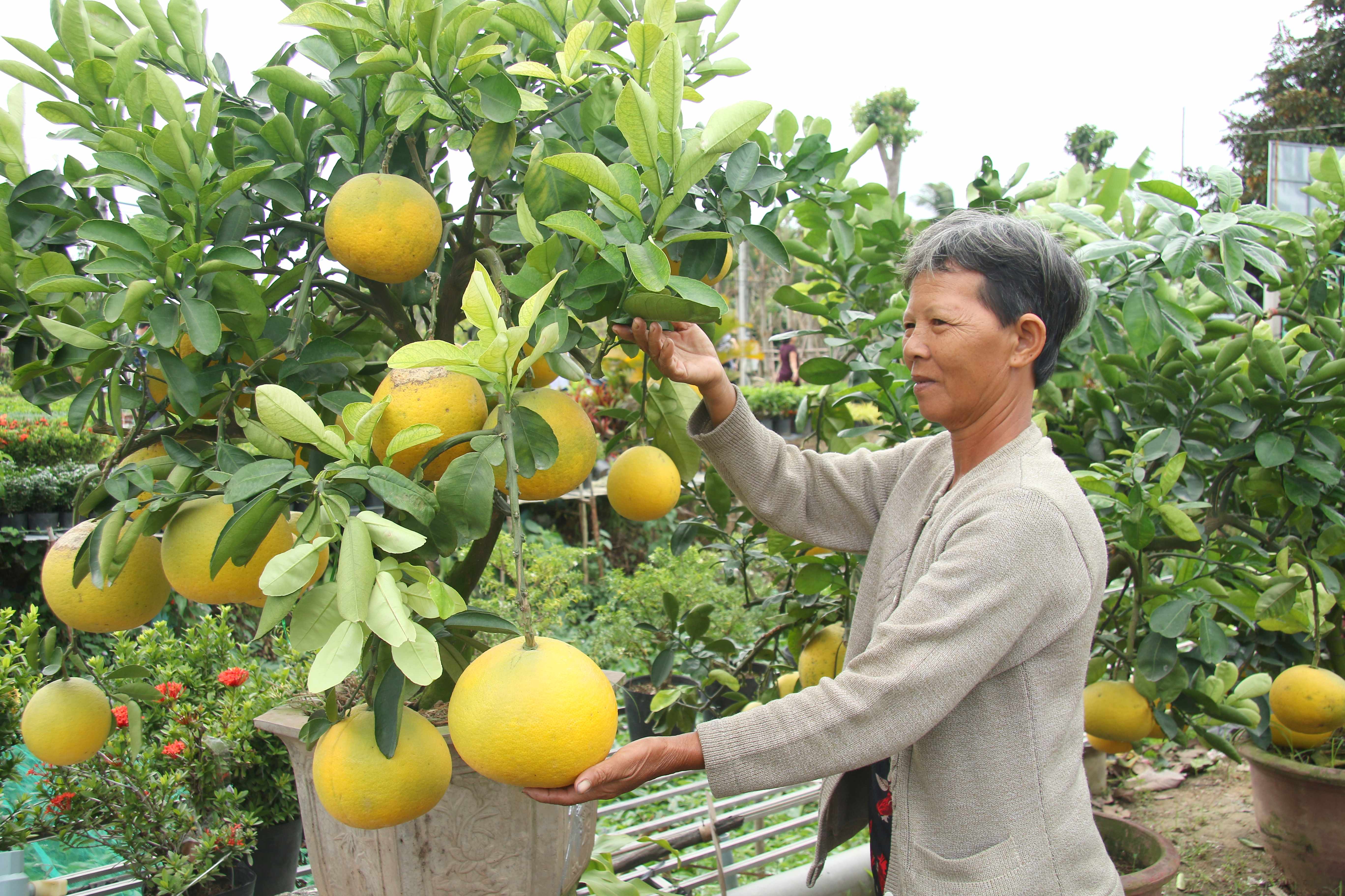 buoi dien xuat hien tai mien tay voi hinh dang doc la