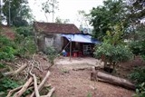 la thu me gui con ung thu dam nuoc mat o phu yen