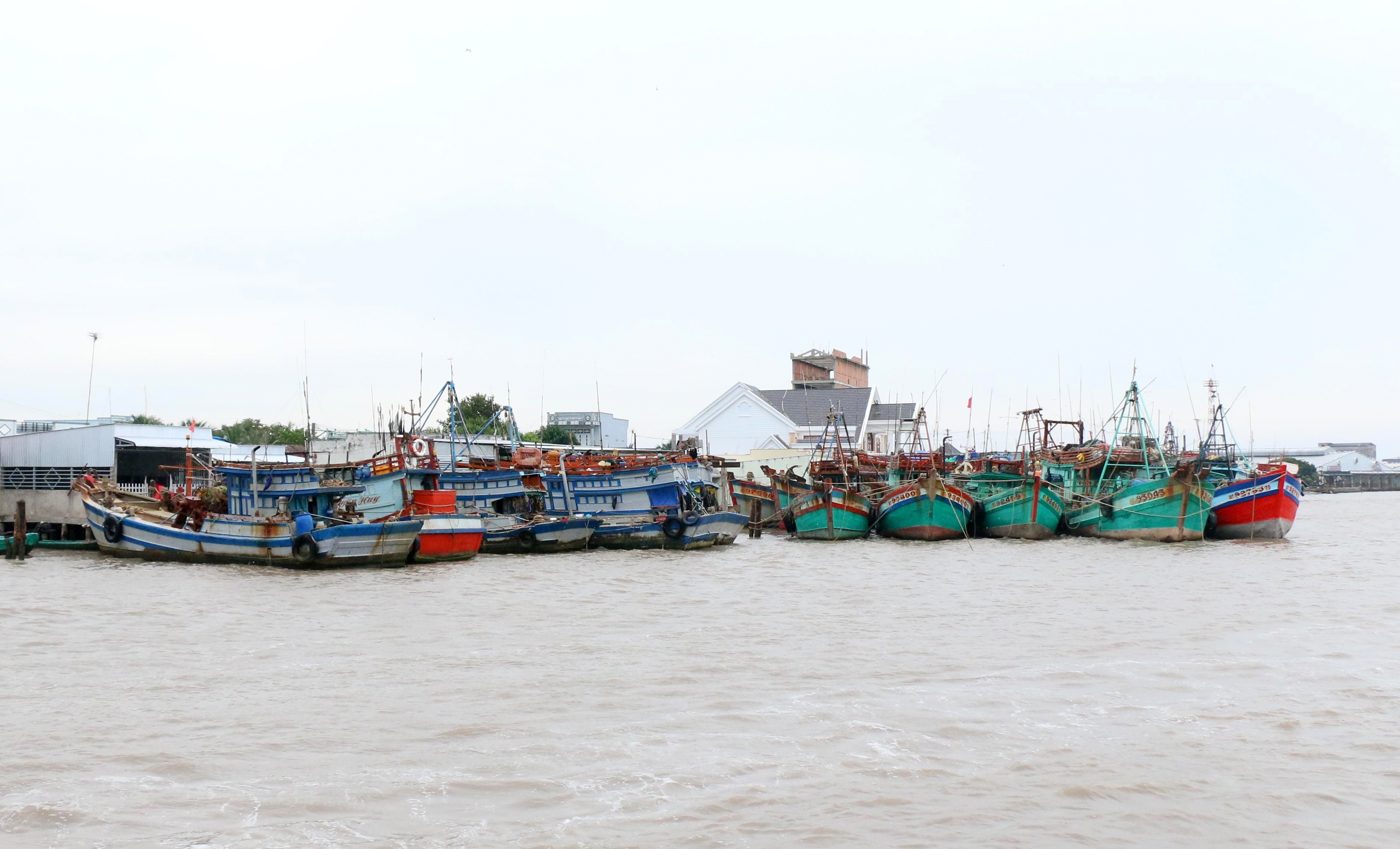 thuy san tiep tuc giu vai tro kinh te mui nhon cua tinh ca mau