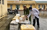four paws env kiem lam nghe an giai cuu ba ca the gau bi nuoi nhot trai phep