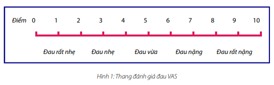 hieu de dung dung cach tan duoc giam dau chong viem tri benh khop