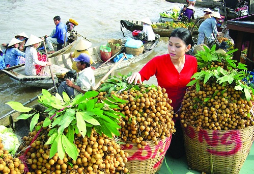 voi tpp trai cay viet nam co vao duoc thi truong kho tinh