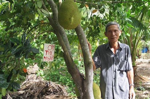 manh dan lam giau tu mit khong hat