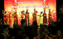 thanh pho ho chi minh to chuc hop mat dau xuan thu hut hon 900 kieu bao