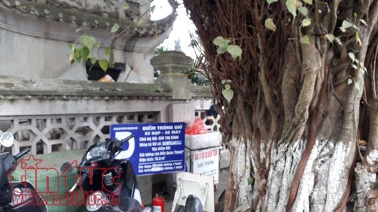 gia trong xe sau tet lai tang bat nhao