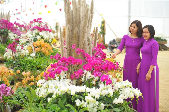 muon mau sac xuan tai thung lung hoa chua bai dinh