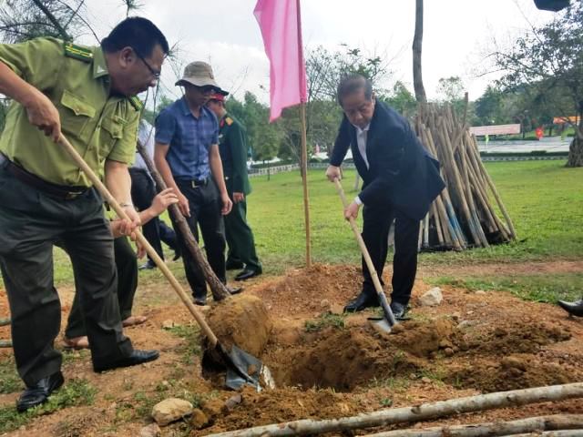 soi noi tet trong cay doi doi nho on bac ho tai co do hue