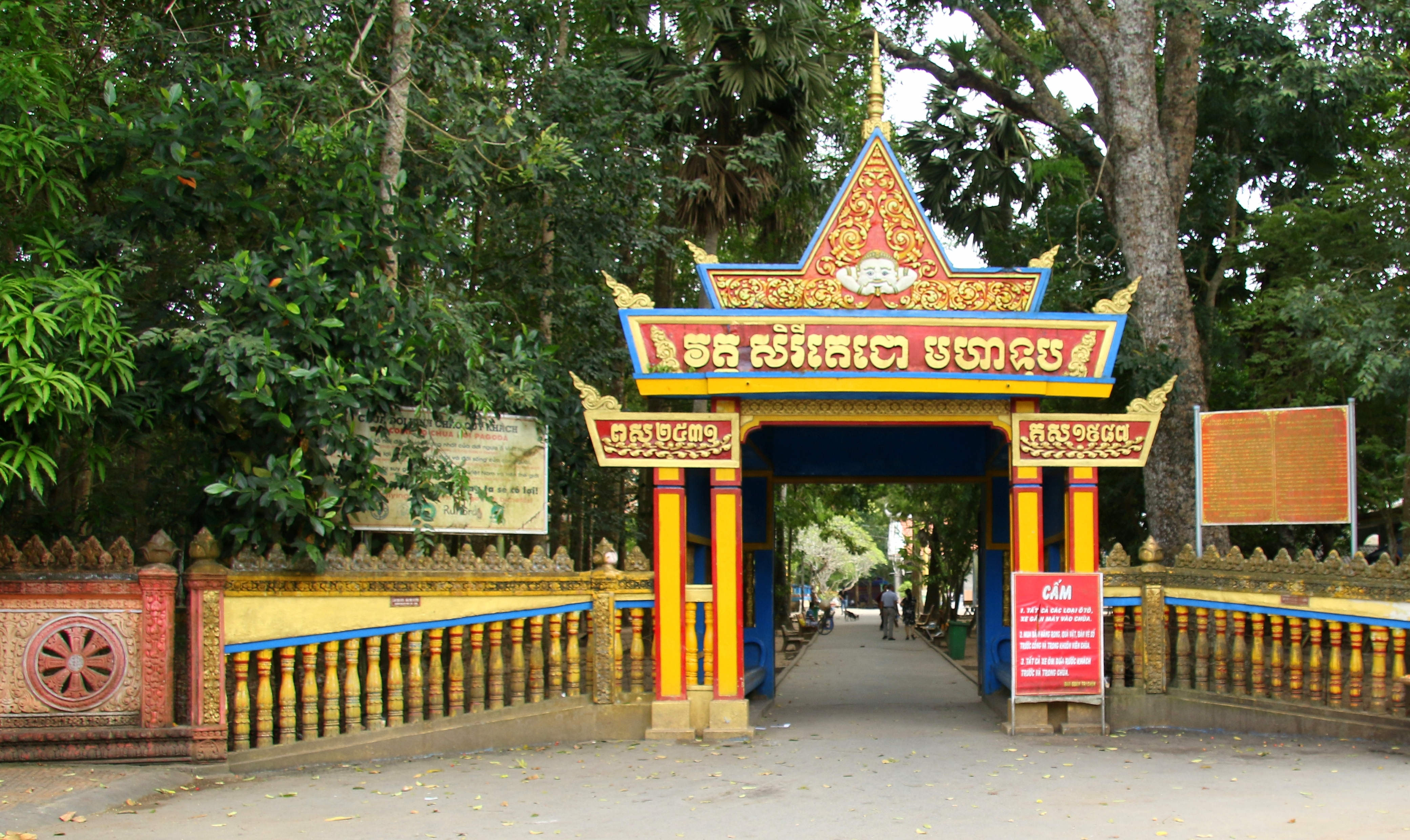 doc dao ngoi chua co tung cuu mang nhung chu heo bi bo roi
