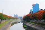 sau 3 tuan lam sach bang cong nghe nhat ban song to lich sach ban the nao