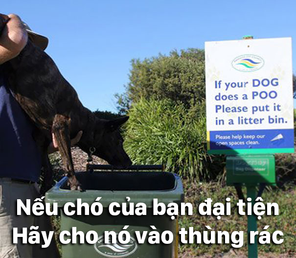 18 hanh dong rap khuon hai huoc cua cac thanh troll