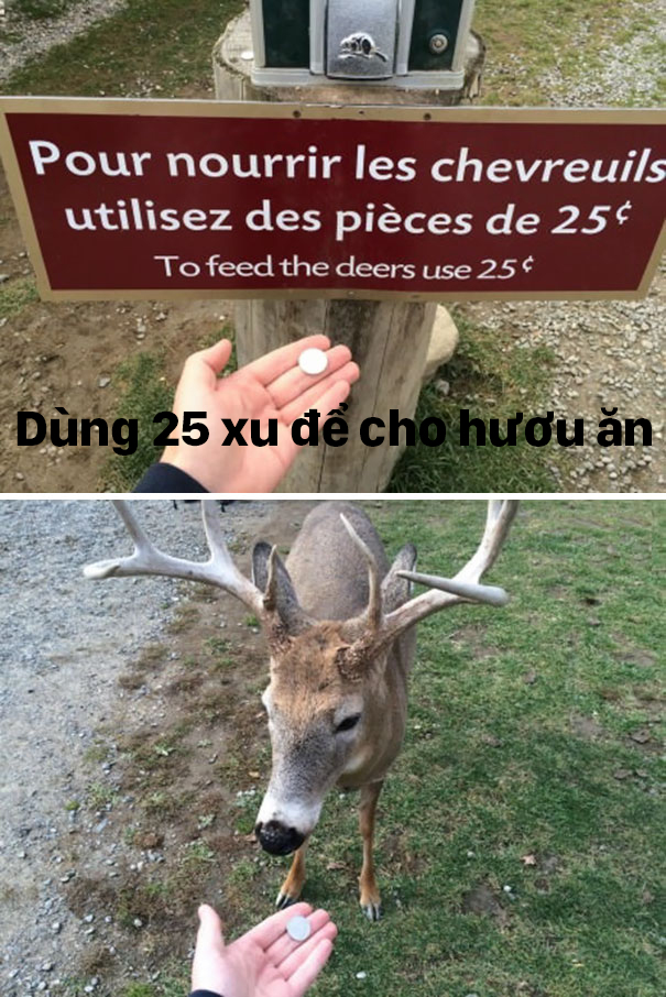 18 hanh dong rap khuon hai huoc cua cac thanh troll