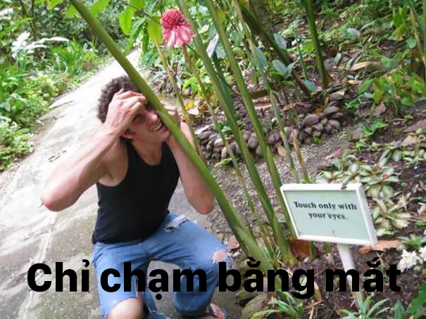 18 hanh dong rap khuon hai huoc cua cac thanh troll