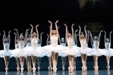 Vở ballet kinh điển “Hồ Thiên nga” trở lại với khán giả Thủ đô