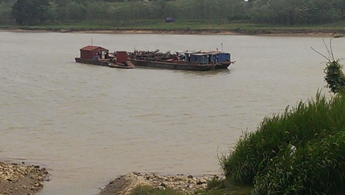 thanh hoa mat hang chuc hecta dat hoa mau vi cat tac