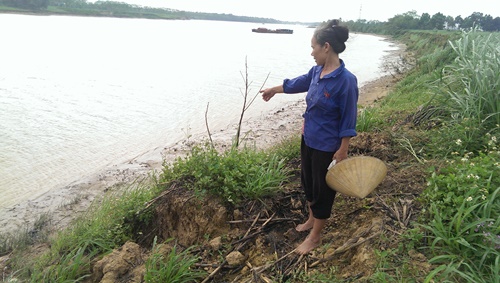 thanh hoa mat hang chuc hecta dat hoa mau vi cat tac