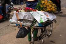 quy hoa binh va phat trien viet nam chuan bi dai hoi lan thu 4