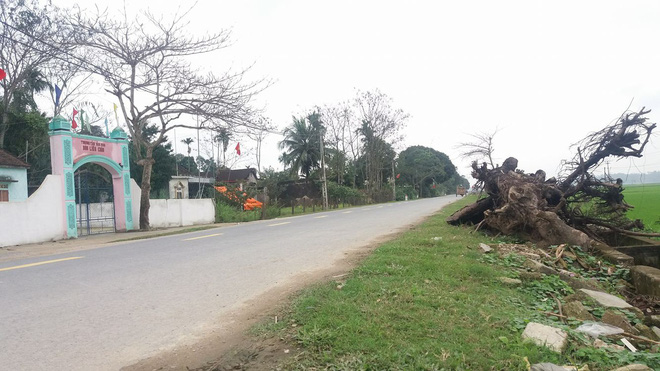 khoi to tai xe gay tai nan lam 7 nguoi thuong vong trong dem giao thua