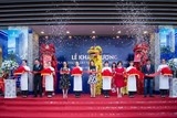 vuot bien kham pha vuong quoc hoa hong trai nghiem moi cuc ngot ngao tai nha trang