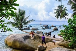 kien giang hon 30 hecta rung phong ho hon dat bi thieu rui